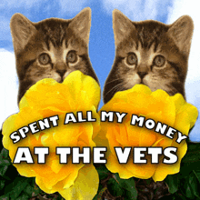 Spent All My Money At The Vets GIF - Spent All My Money At The Vets Vet GIFs