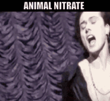 Suede Animal Nitrate GIF