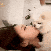 a woman kissing a small white dog on the nose