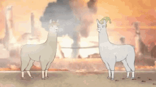 Llamas Youve Gone Too Far This Time Carl GIF - Llamas Youve Gone Too Far This Time Carl Llamas With Hats GIFs