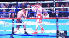 Canelo Knockout GIF - Canelo Knockout Boxing GIFs