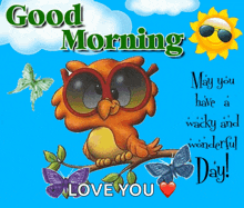 Good Morning Sun GIF - Good Morning Sun Owl GIFs