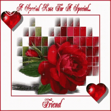A Special Rose For S Pecial Friend दिल GIF - A Special Rose For S Pecial Friend दिल हार्ट GIFs