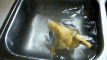 Baby Duck Swimming In Sink GIF