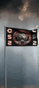 a black flag with a lion on it and the letters usn on it