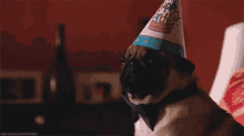 Happy Birthday GIF - Happy Birthday Pug GIFs