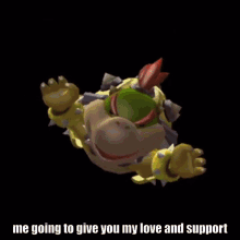 strikers love and support mario strikers charged love support