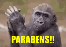 Parabens Elias Parabens GIF - Parabens Elias Parabens Elias GIFs