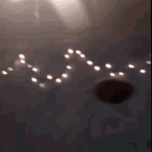 Potato Flew Around My Room GIF