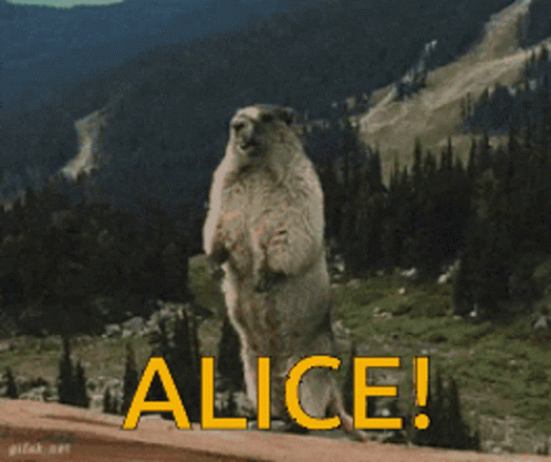 Alice Beaver GIF - Alice Beaver Memes GIFs