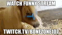 Bone Zone107 B Zone107 GIF - Bone Zone107 B Zone107 Twitch GIFs