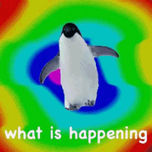 What Is Happening Walking Penguin GIF - What Is Happening Walking Penguin Multicolored GIFs