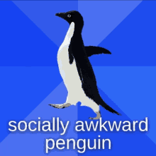 Socially Akward Penguin GIF - Socially Akward Penguin GIFs