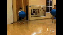 Gym Balls GIF - Bounce Fly Balls GIFs