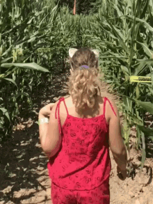 coco cornfield walking shock
