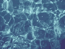 Clear Water Crystal Clear GIF - Clear Water Crystal Clear Rushing Water Flowingness GIFs