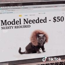 Cat Model Needed GIF - Cat Model Needed Modelling GIFs