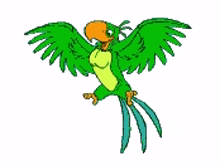 parrot green parrot bird