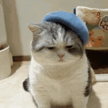 a cat wearing a hat is sitting on the floor .