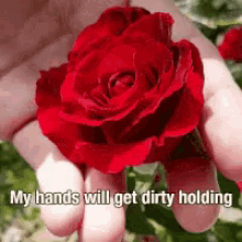 jarodkintz poem rose heart love