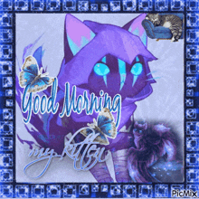 Good Morning Kitten Omen Valorant Kitten GIF - Good Morning Kitten Omen Valorant Kitten Blue GIFs