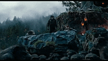 a group of monkeys are standing on a rocky cliff
