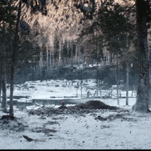 a snowy forest with trees covered in snow