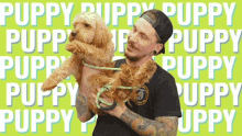 Stickergiant Puppy GIF - Stickergiant Puppy Pup GIFs
