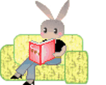 rabbit bunny brown rabbit white bunny reading the book