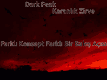 Aaa Dark Peak GIF - Aaa Dark Peak Birds GIFs