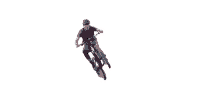 stunt bicycle