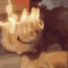 Cat On Fire Sitting GIF - Cat On Fire Sitting Edited GIFs