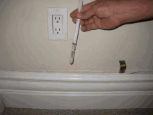 Mold Inspections Los Angeles Mold Inspection And Testing GIF - Mold Inspections Los Angeles Mold Inspection And Testing GIFs