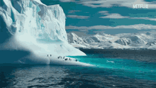 Penguins Antarctica GIF - Penguins Antarctica Ice GIFs