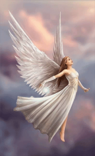pretty angel wings