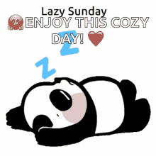 sunday lazy panda cute tired