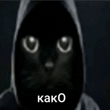a black cat wearing a hooded jacket with the word kako on the bottom right