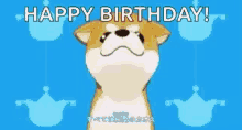Happy Birthday Dog GIF - Happy Birthday Dog Bird GIFs