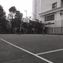 Basketball Crossover GIF