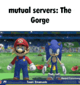mario and sonic are standing next to each other in a video game with the caption mutual servers : the gorge