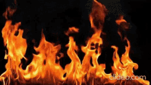 Neemon Inferno GIF - Neemon Inferno Burning GIFs