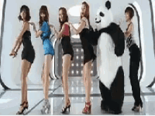 Dance Wiggle GIF - Dance Wiggle Panda GIFs