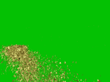 a green screen with a few pieces of gold coming out of it