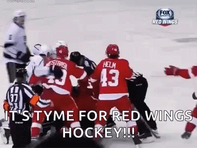 Nhl-fights GIFs - Get the best GIF on GIPHY
