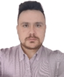 a man with a beard and mustache is wearing a purple shirt and taking a selfie .