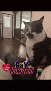 a cat is sitting on a person 's lap with a sticker that says " gay human "