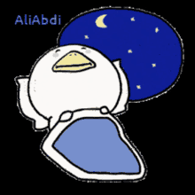 a cartoon of a duck laying in a bed with the name aliabdi above it