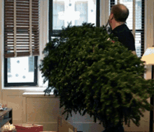 Throwing Christmas Tree Window GIF - Throwing Christmas Tree Window Christmas GIFs