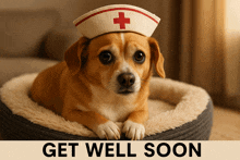 a small dog wearing a nurse hat is laying in a dog bed