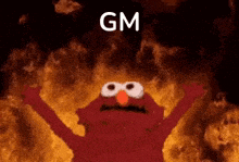 elmo from sesame street is standing in front of a fire and says `` gm '' .